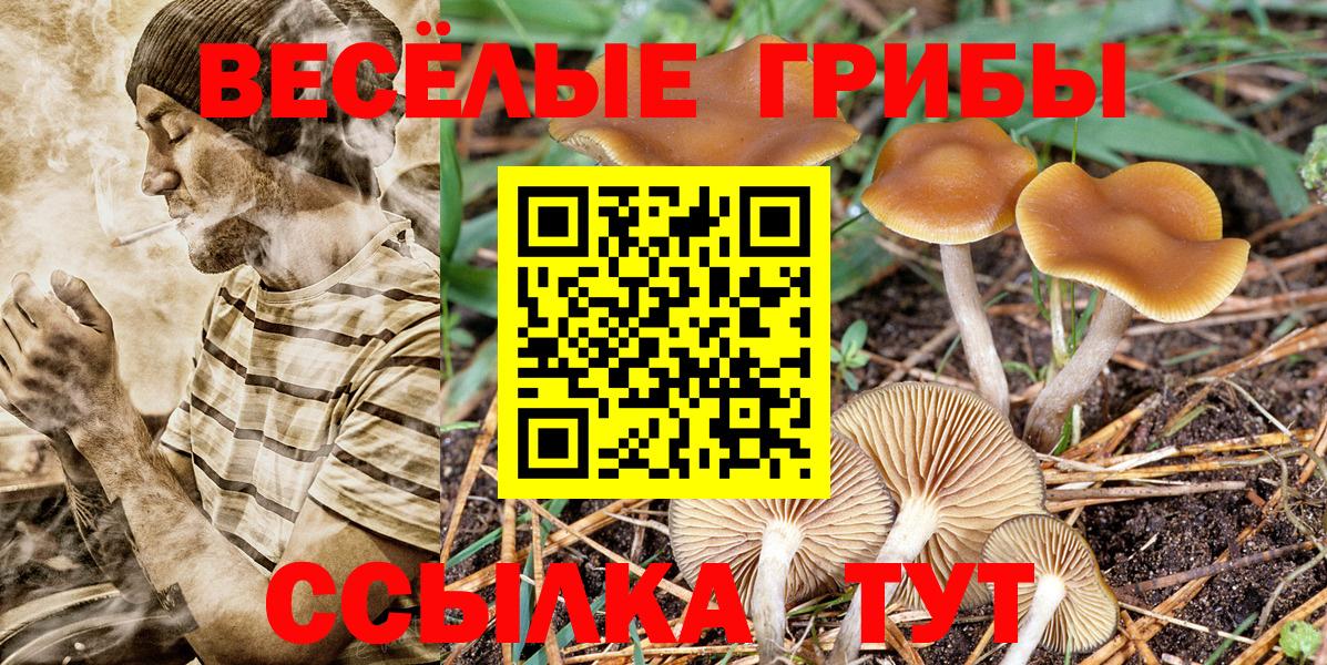 Галлюциногенные грибы GOLDEN TEACHER Жуковский