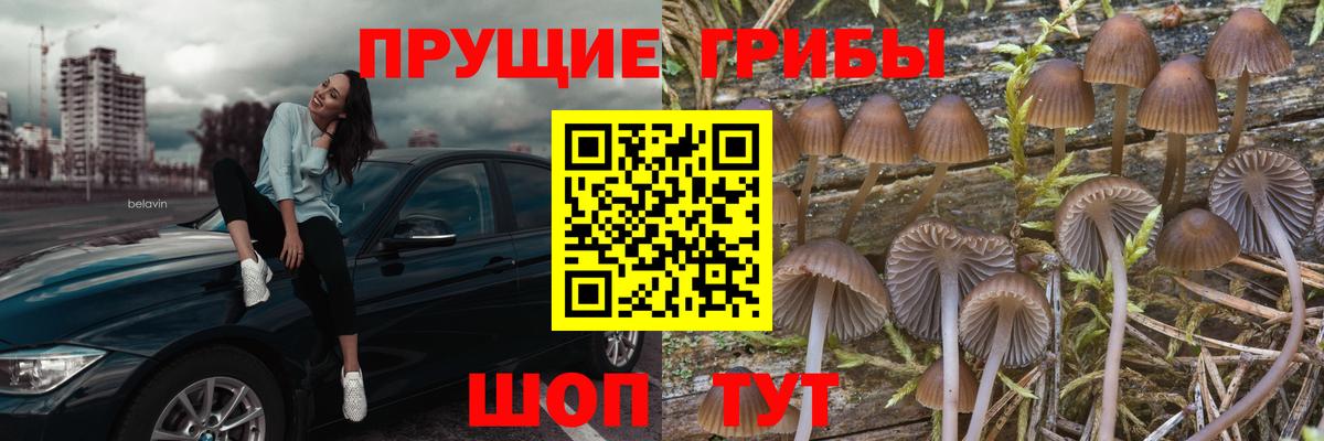 Псилоцибиновые грибы MAGIC MUSHROOMS  Вход с VPN  Галлюциногенные грибы прущие грибы  Жуковский 